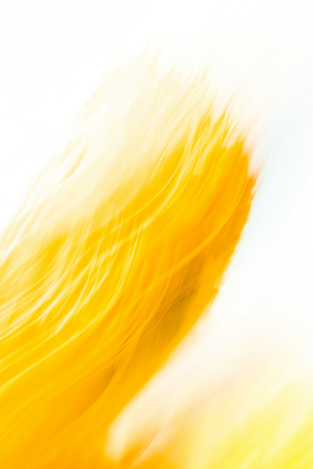 http://news.yule.com.cn/uploadfile/2025/0807/20250807044930557.jpg